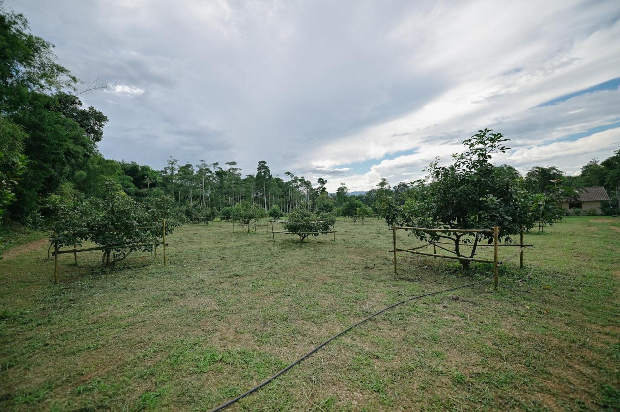 ไร่นภาดลรีสอร์ท Homestay *