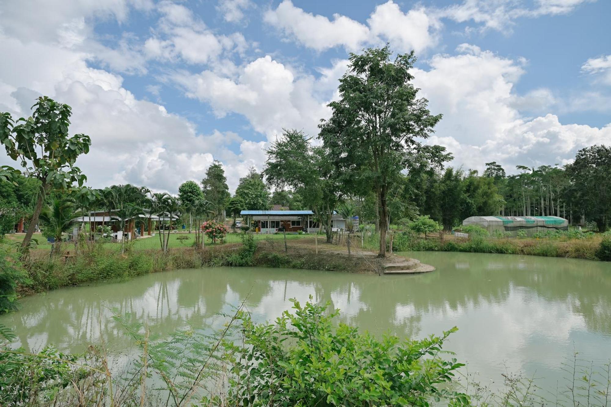 ไร่นภาดลรีสอร์ท Homestay Mae Suai