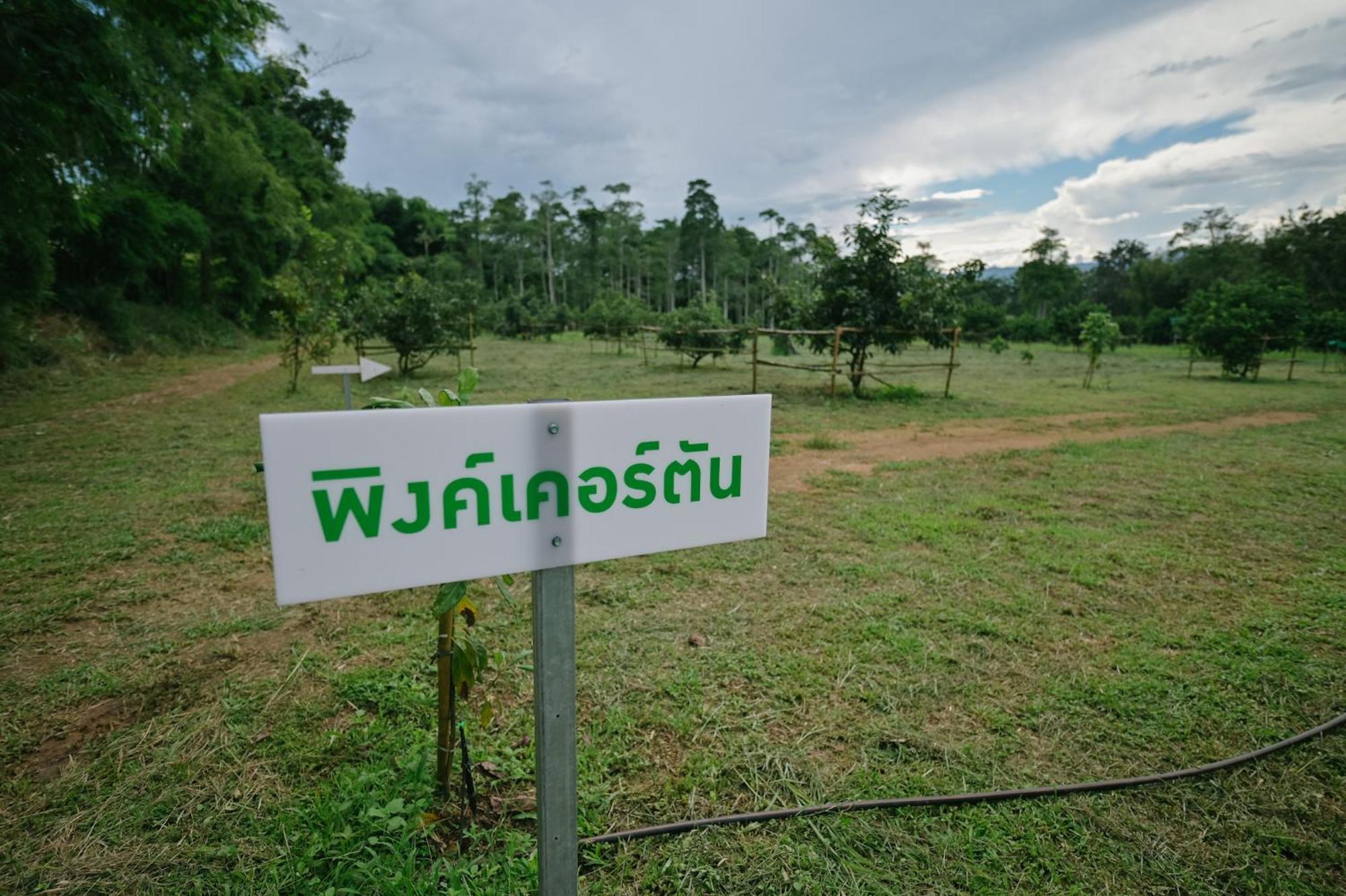 ไร่นภาดลรีสอร์ท Homestay